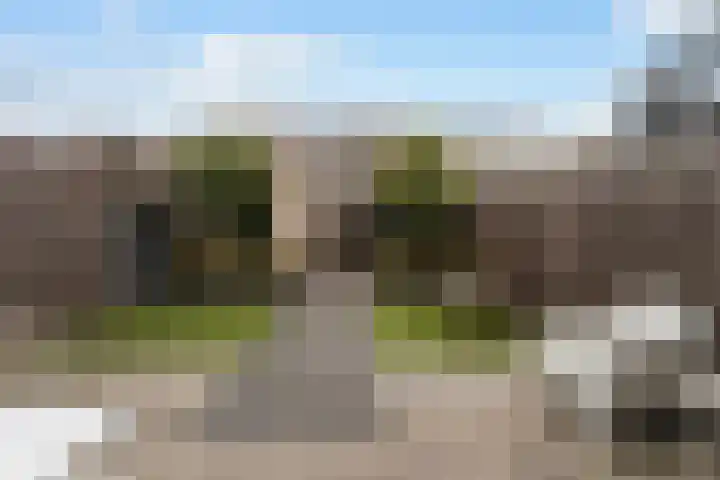 Branco 36 Dordrecht thumbnail 32