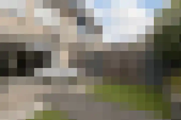 Branco 36 Dordrecht thumbnail 36