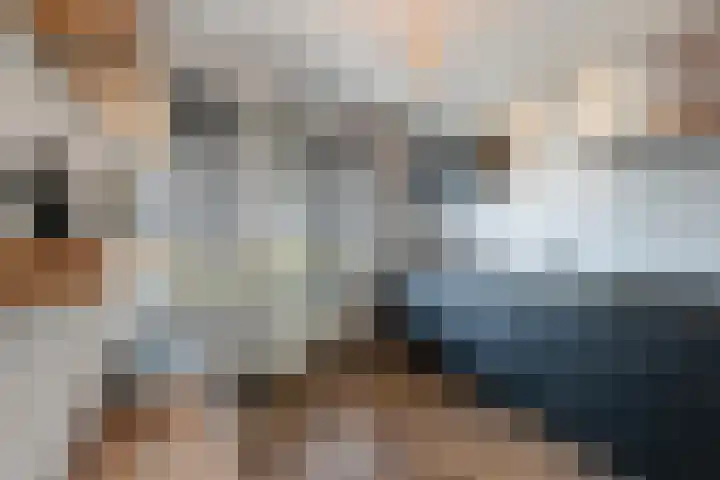 Branco 36 Dordrecht thumbnail 4
