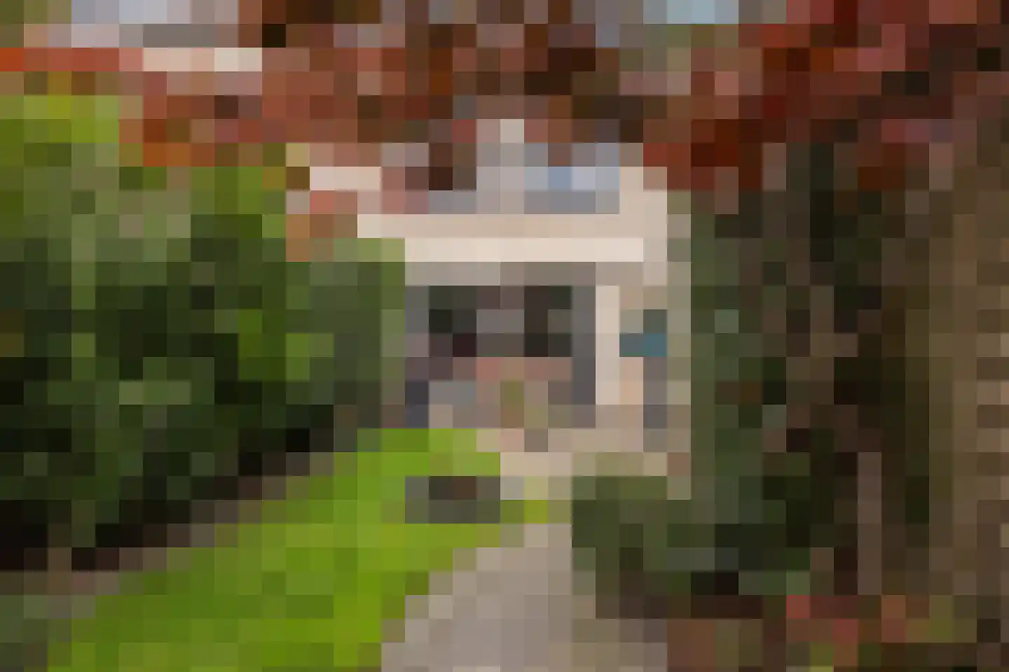 Branco 50 Dordrecht thumbnail 11
