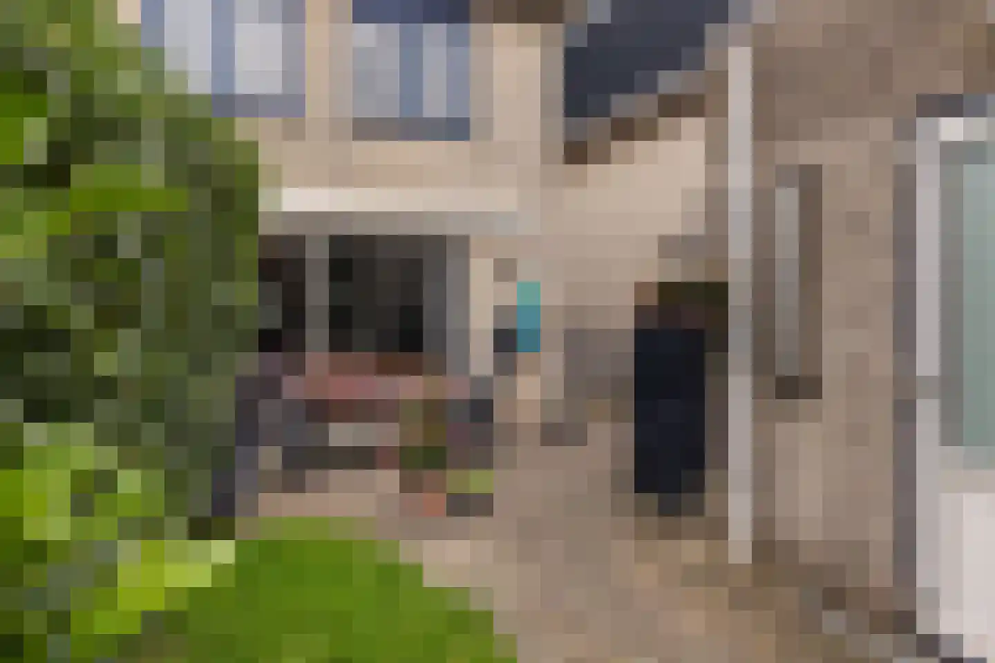 Branco 50 Dordrecht thumbnail 12