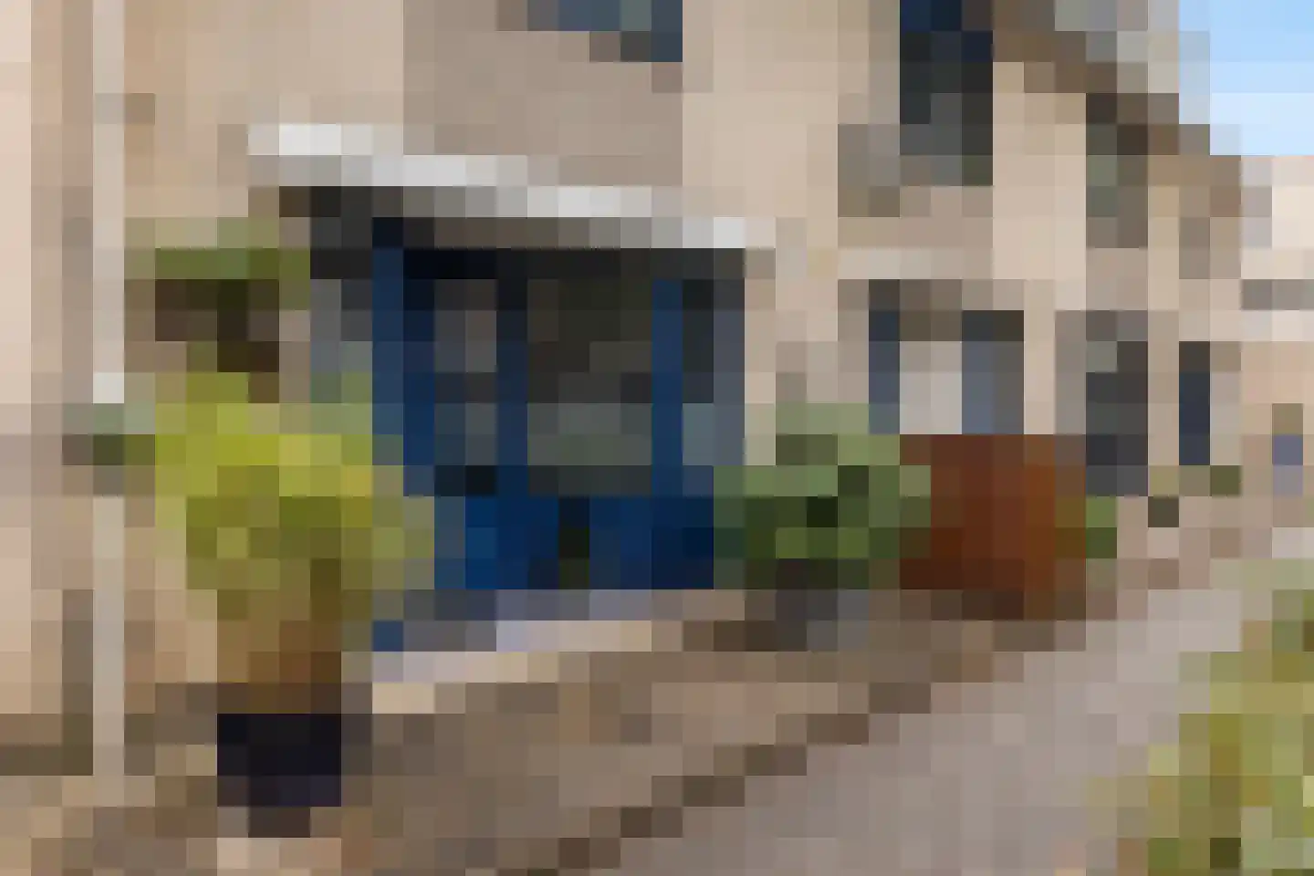 Branco 50 Dordrecht thumbnail 4