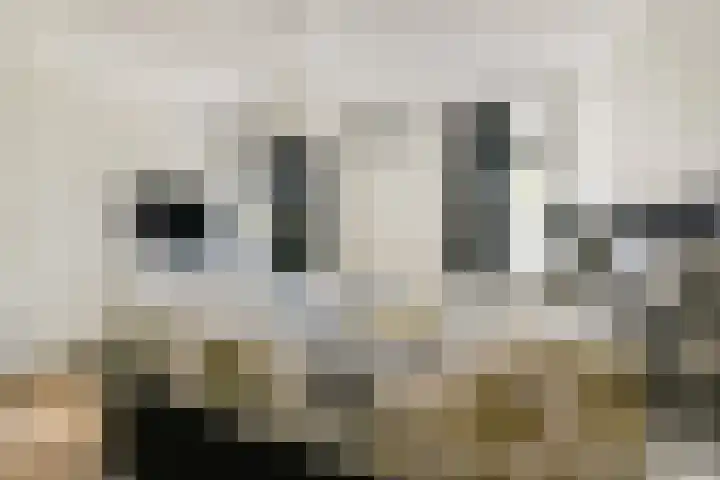 Branco 9 Dordrecht thumbnail 13