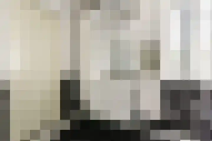 Branco 9 Dordrecht thumbnail 19