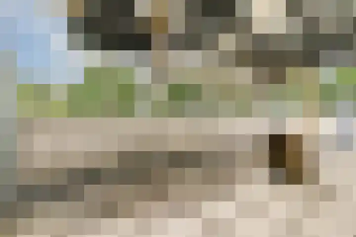 Branco 9 Dordrecht thumbnail 23