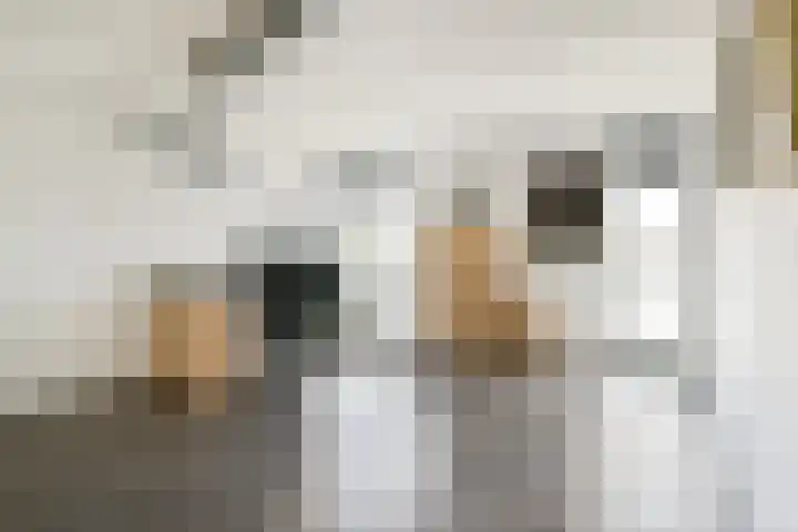 Branco 9 Dordrecht thumbnail 26