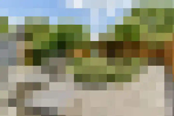 Branco 9 Dordrecht thumbnail 29