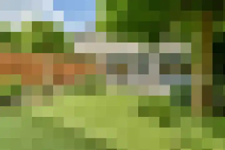 Branco 9 Dordrecht thumbnail 31