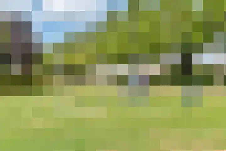 Branco 9 Dordrecht thumbnail 35