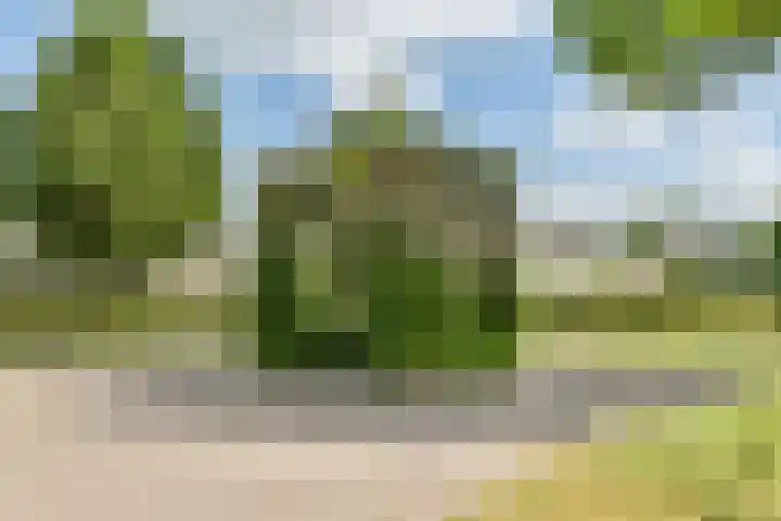 Branco 9 Dordrecht thumbnail 36