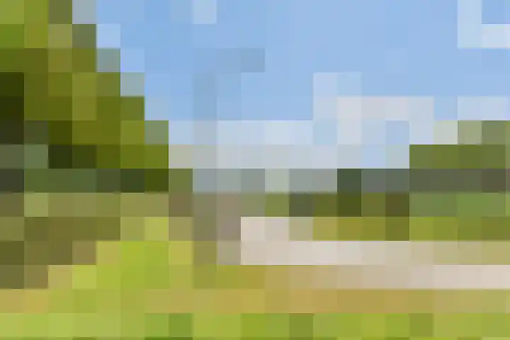Branco 9 Dordrecht thumbnail 37