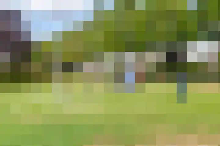 Branco 9 Dordrecht thumbnail 38