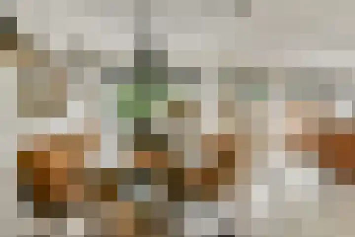 Branco 9 Dordrecht thumbnail 8