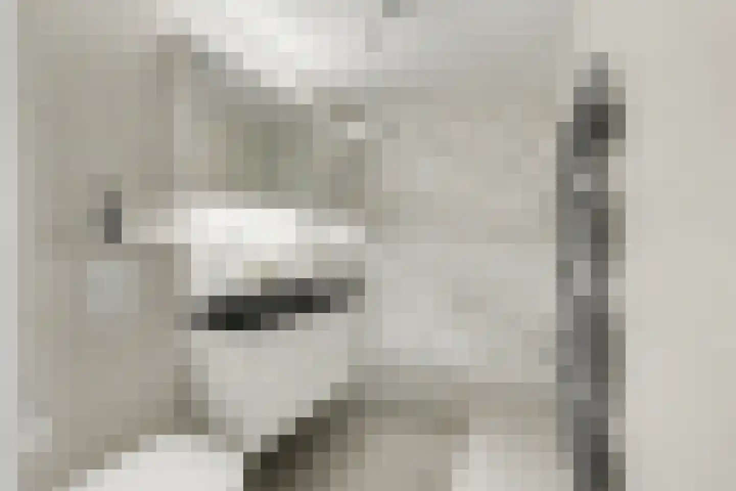 Branco 95 Dordrecht thumbnail 35