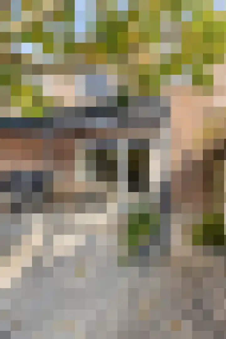 Brancusistraat 10 Almere thumbnail 24