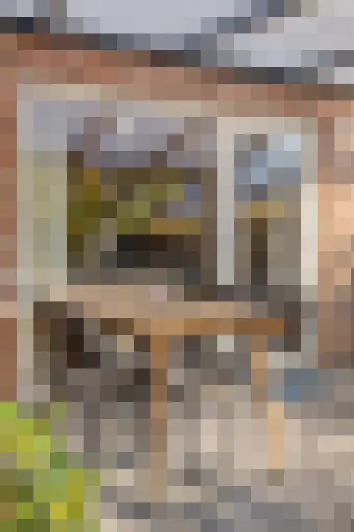 Brancusistraat 10 Almere thumbnail 25