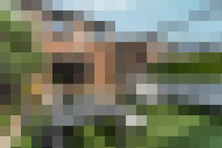 Brancusistraat 22 Almere thumbnail 42