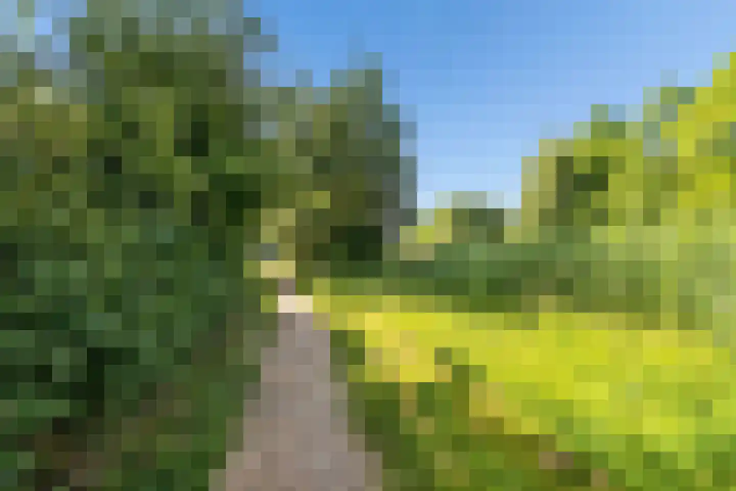 Brancusistraat 3 Almere thumbnail 39