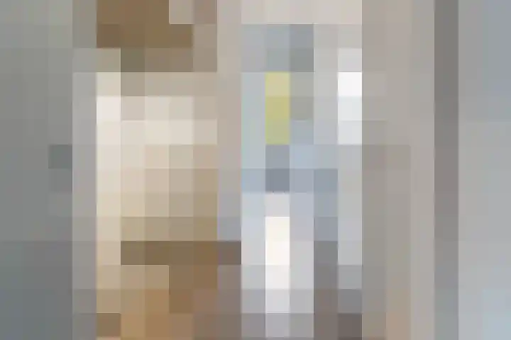 Brancusistraat 44 Almere thumbnail 30