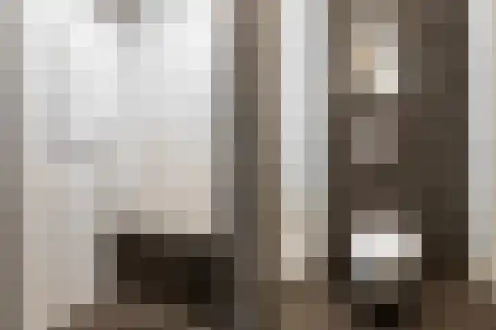 Brancusistraat 44 Almere thumbnail 34