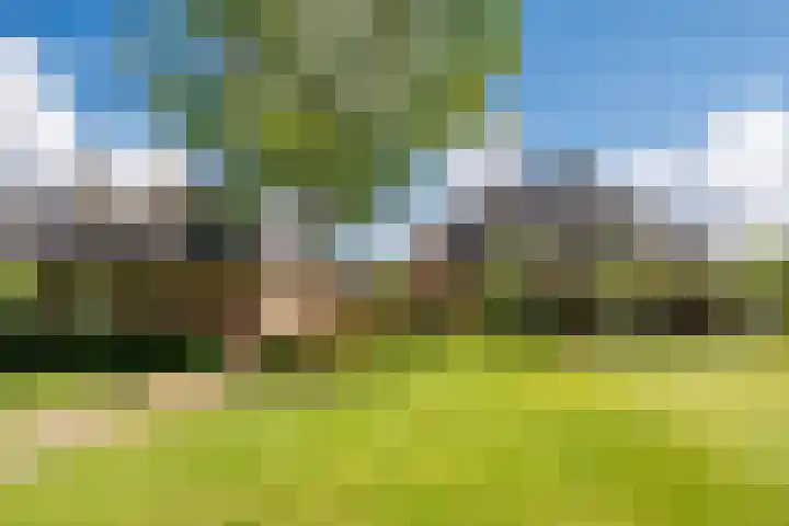 Brand 11 Helmond thumbnail 6
