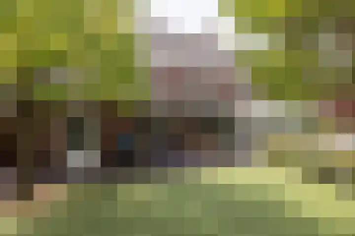Brand 16 Helmond thumbnail 39