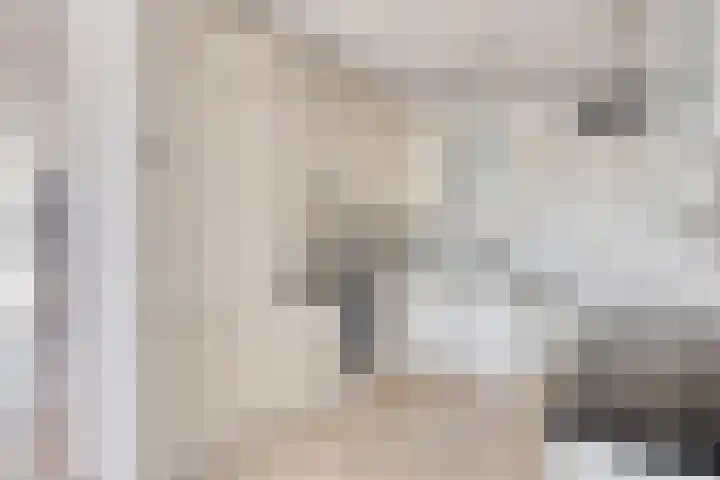 Brandaris 10 Oosterhout thumbnail 10