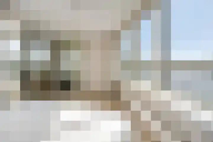 Brandaris 10 Oosterhout thumbnail 16