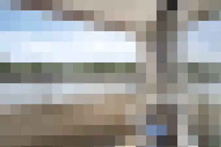 Brandaris 10 Oosterhout thumbnail 20