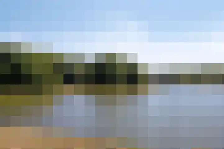Brandaris 10 Oosterhout thumbnail 23