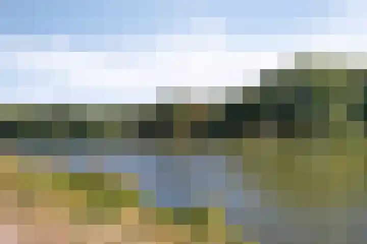 Brandaris 10 Oosterhout thumbnail 30