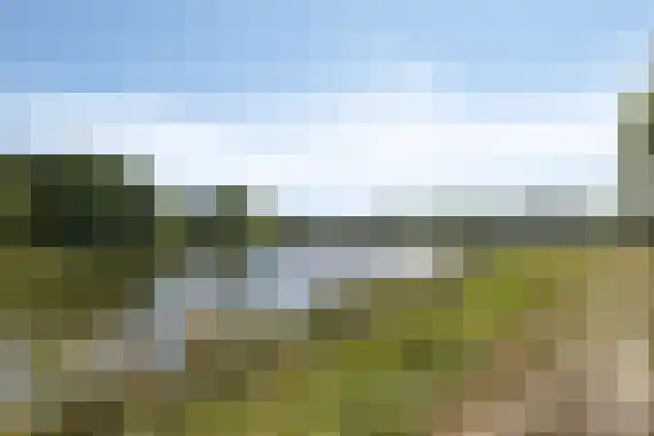 Brandaris 10 Oosterhout thumbnail 32