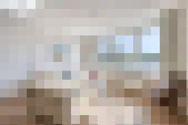 Brandaris 10 Oosterhout thumbnail 4