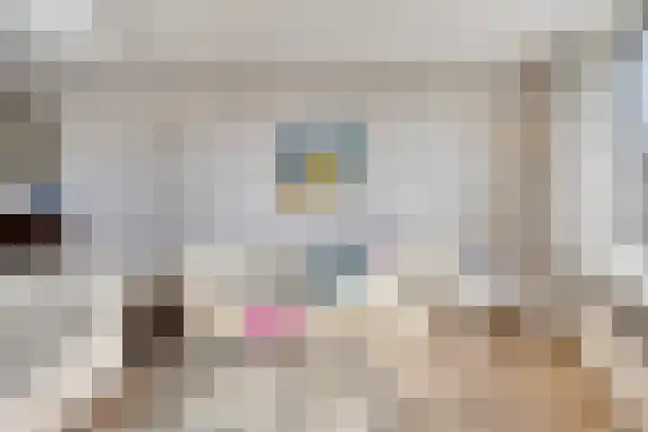 Brandaris 10 Oosterhout thumbnail 5