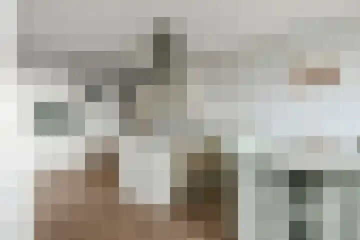 Brandaris 12 Hoofddorp thumbnail 13