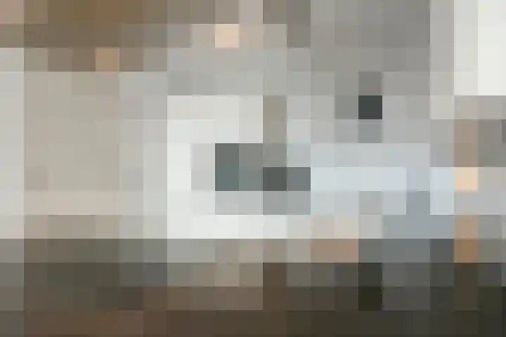 Brandaris 12 Hoofddorp thumbnail 14