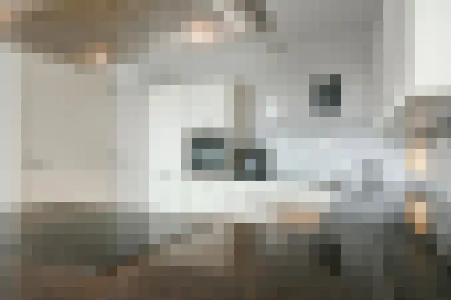 Brandaris 12 Hoofddorp thumbnail 14