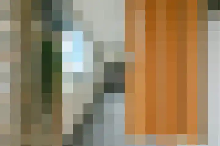 Brandaris 12 Hoofddorp thumbnail 23