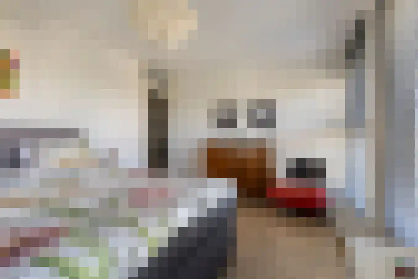 Brandaris 16 Hoofddorp thumbnail 19