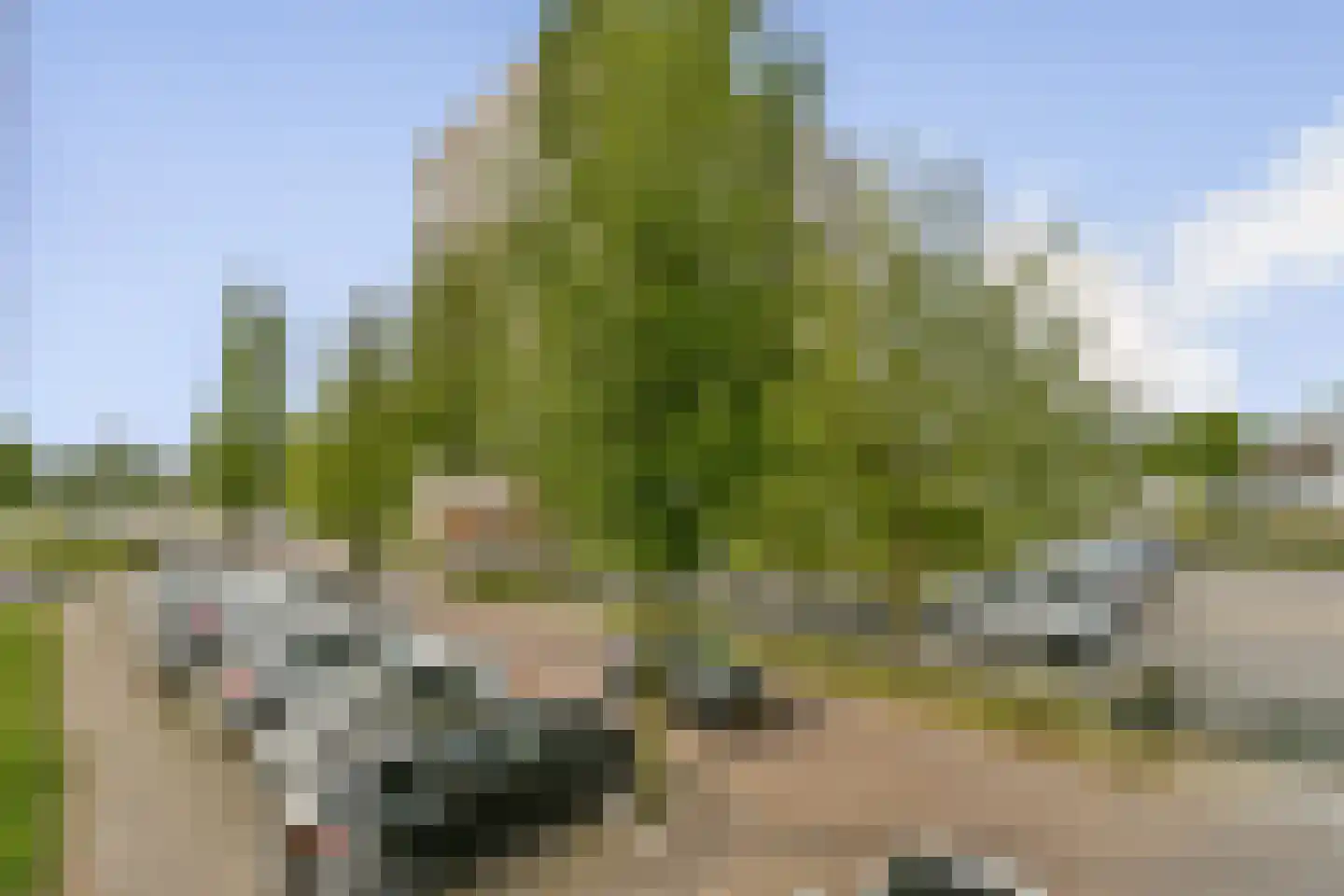Brandaris 3 Hoofddorp thumbnail 15