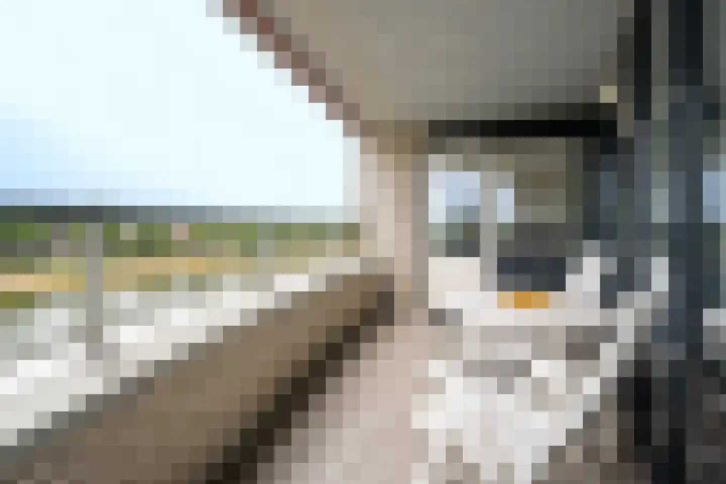 Brandaris 32 Oosterhout thumbnail 11