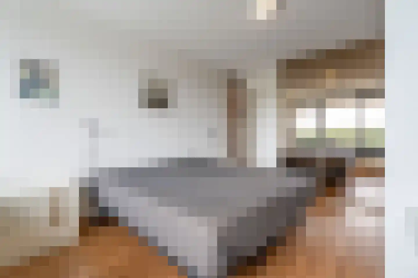 Brandaris 32 Oosterhout thumbnail 18