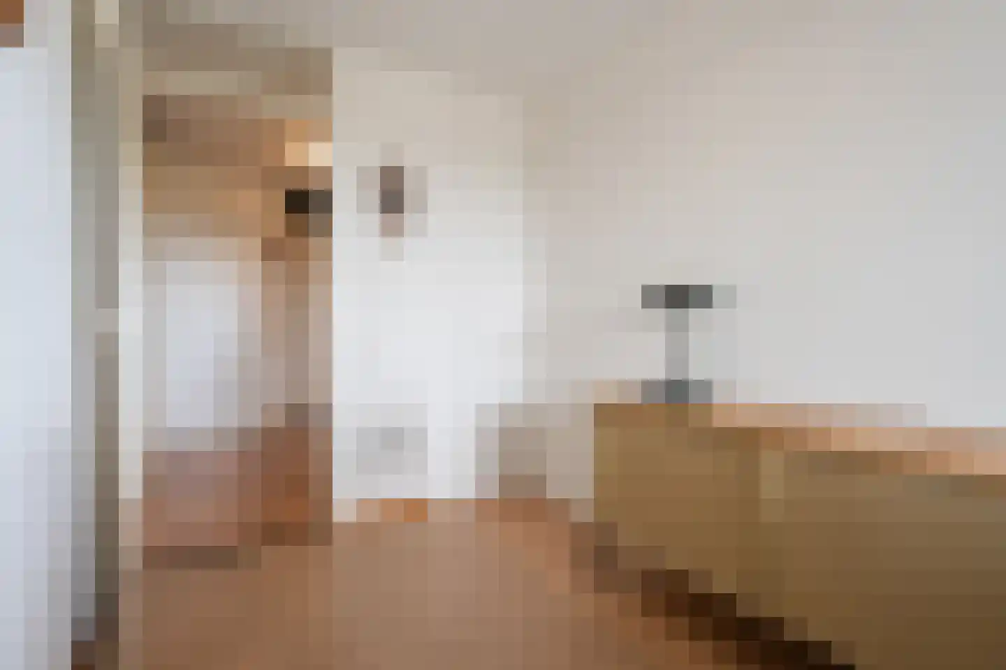 Brandaris 32 Oosterhout thumbnail 20