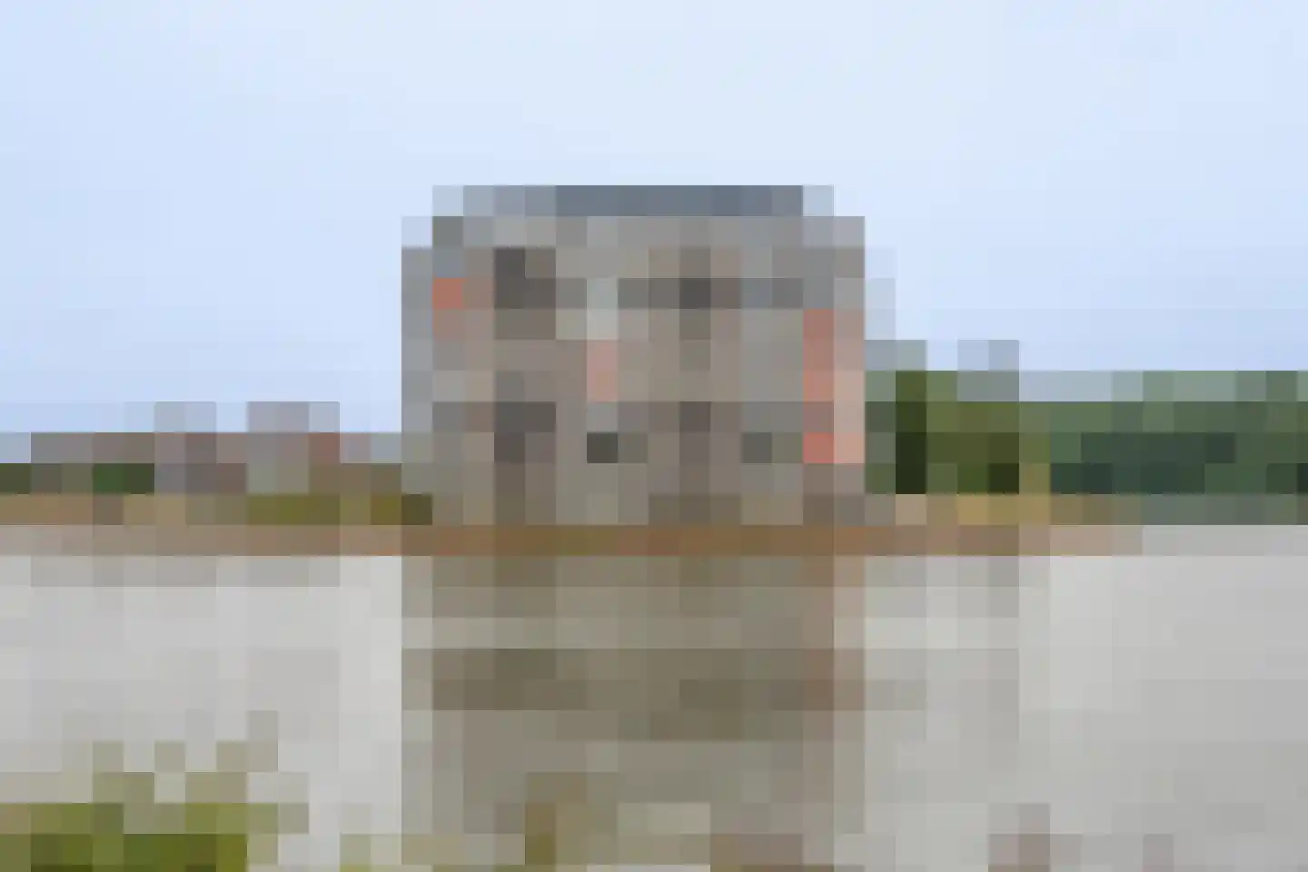 Brandaris 32 Oosterhout thumbnail 28