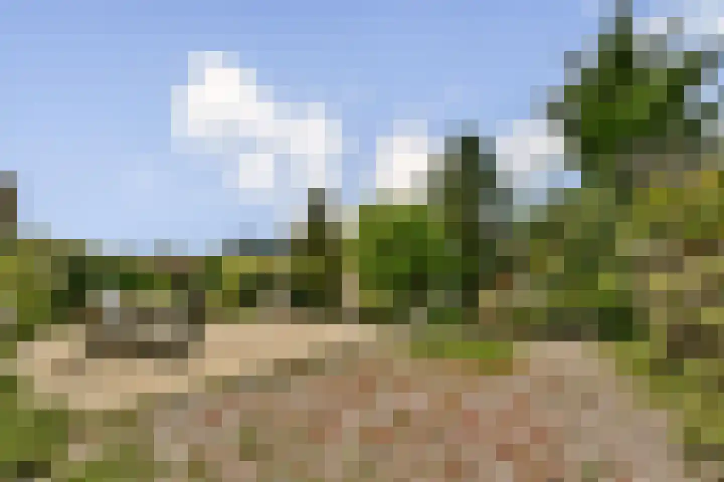 Brandaris 50 Hoofddorp thumbnail 11