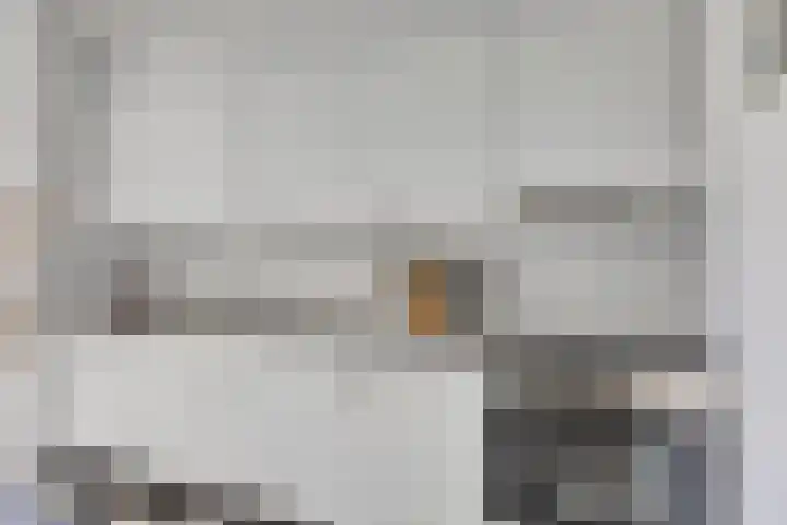 Brandaris 50 Oosterhout thumbnail 10