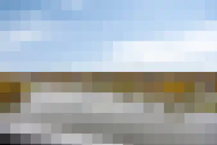 Brandaris 50 Oosterhout thumbnail 14