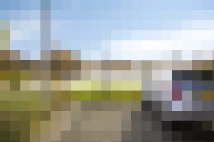 Brandaris 50 Oosterhout thumbnail 21