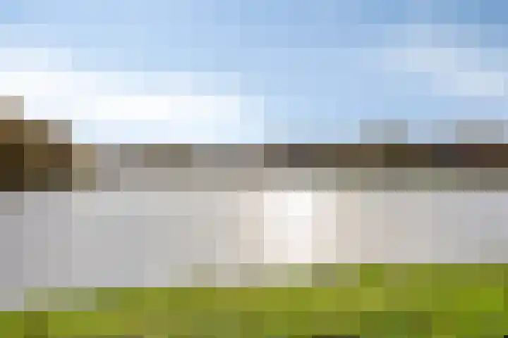Brandaris 50 Oosterhout thumbnail 22