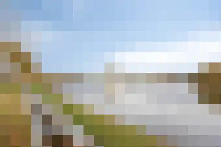 Brandaris 50 Oosterhout thumbnail 23